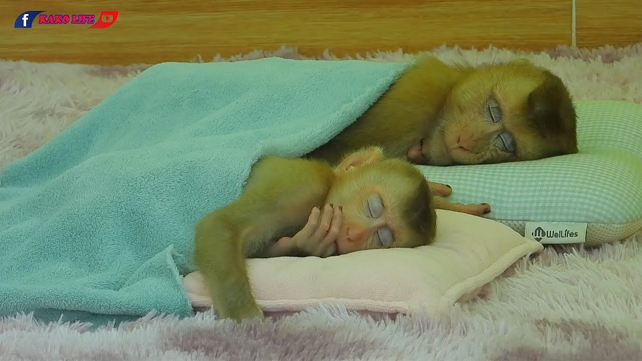 Little Baby Olly & Lisa Taking Nap