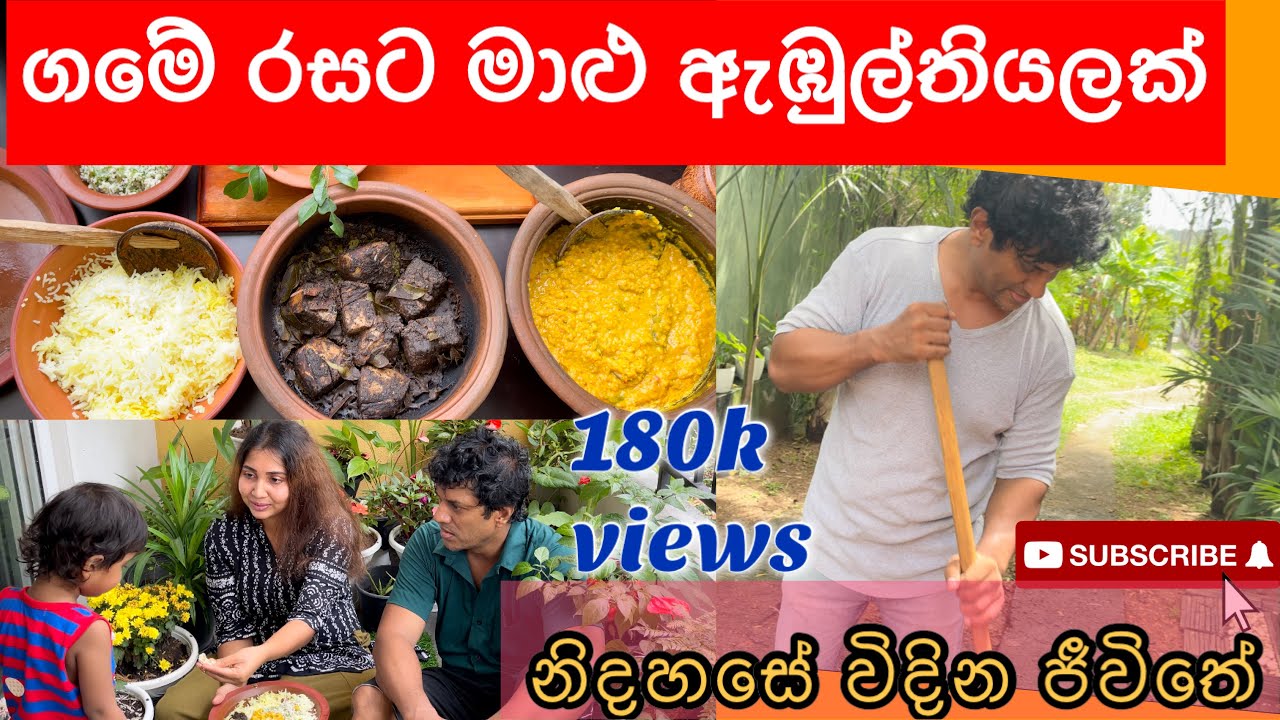 නිදහසේ විදින අපේ සරල ජීවිතේ episode 4 : මාළු ඇඹුල්තියලක් එක්ක දිය තිප්පිලි මැල්ලුම්? Ambul thiyal: