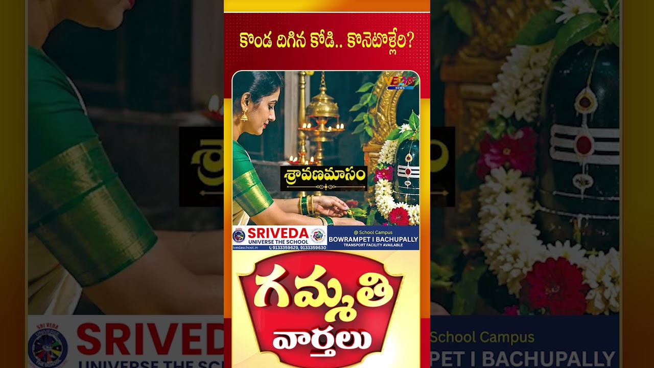 కొండ దిగిన కోడి..కొనెటొళ్లేరి | Gammathi Varthalu | Veda TV News