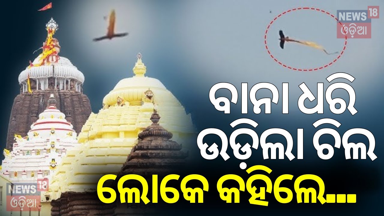 ବାନା ଧରି ଉଡ଼ିଲା ଚିଲ,ଲୋକେ କହିଲେ...|Video of eagle flying with Patitapaban bana goes viral|Puri Temple