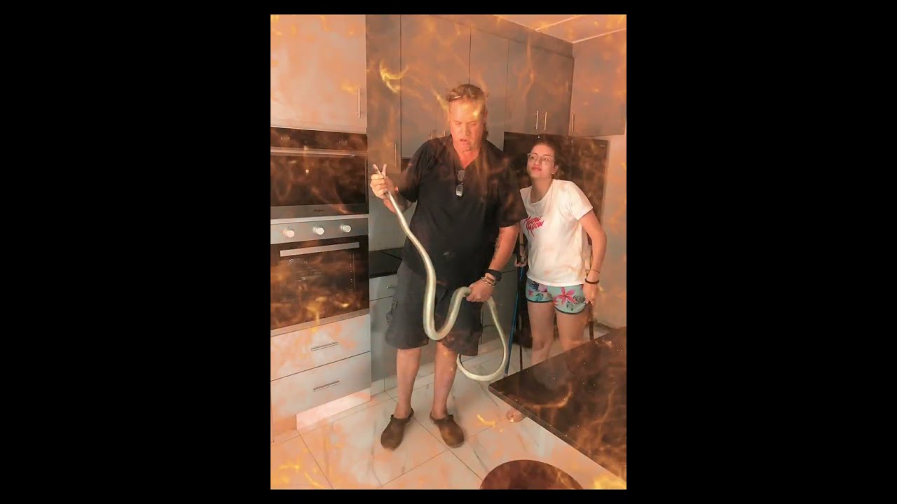 Black Mamba found underneath a fridge