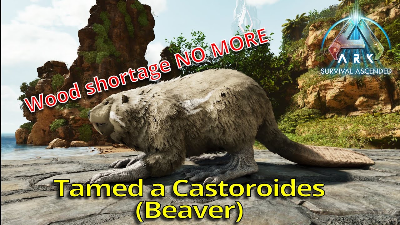I Tamed a Castoroides (Beaver) | Ark Survival Ascended | Episode 7