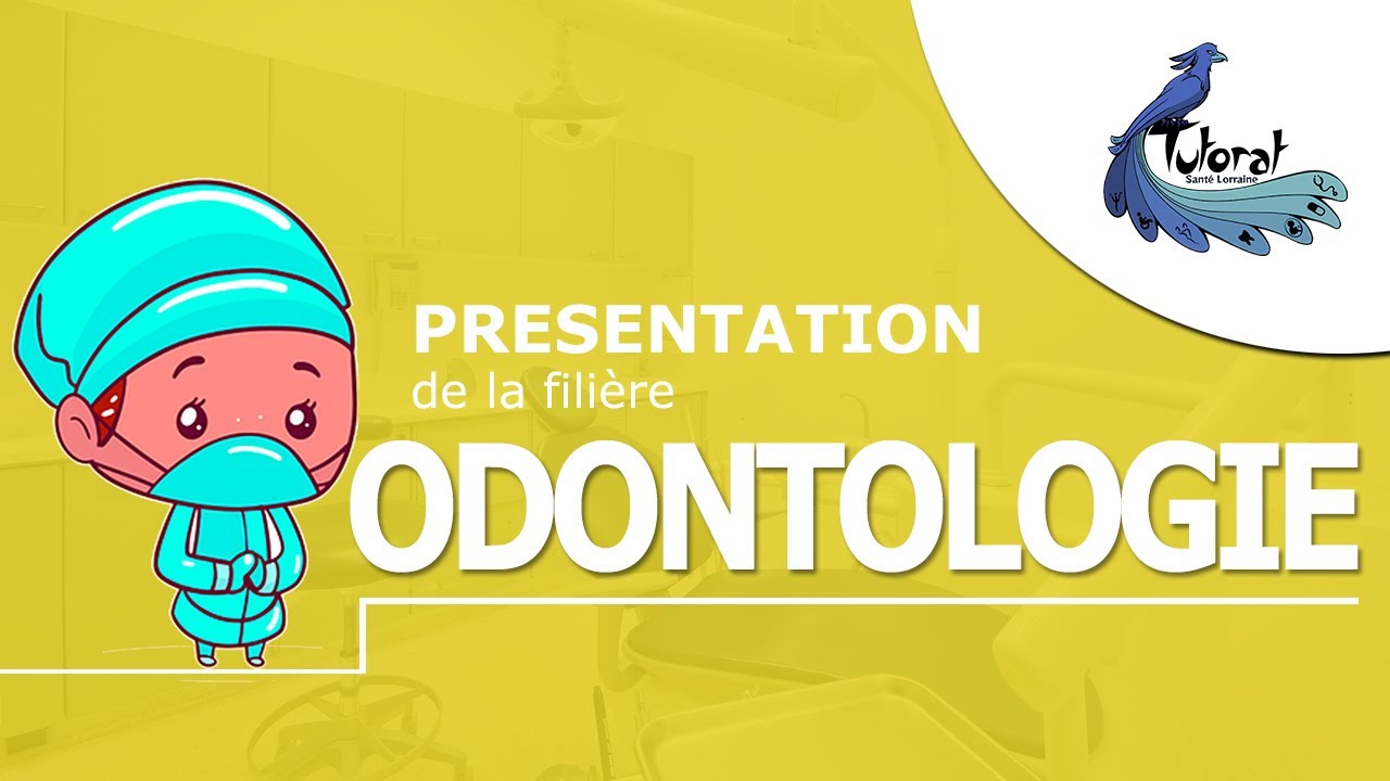 Présentation des filières: ODONTOLOGIE