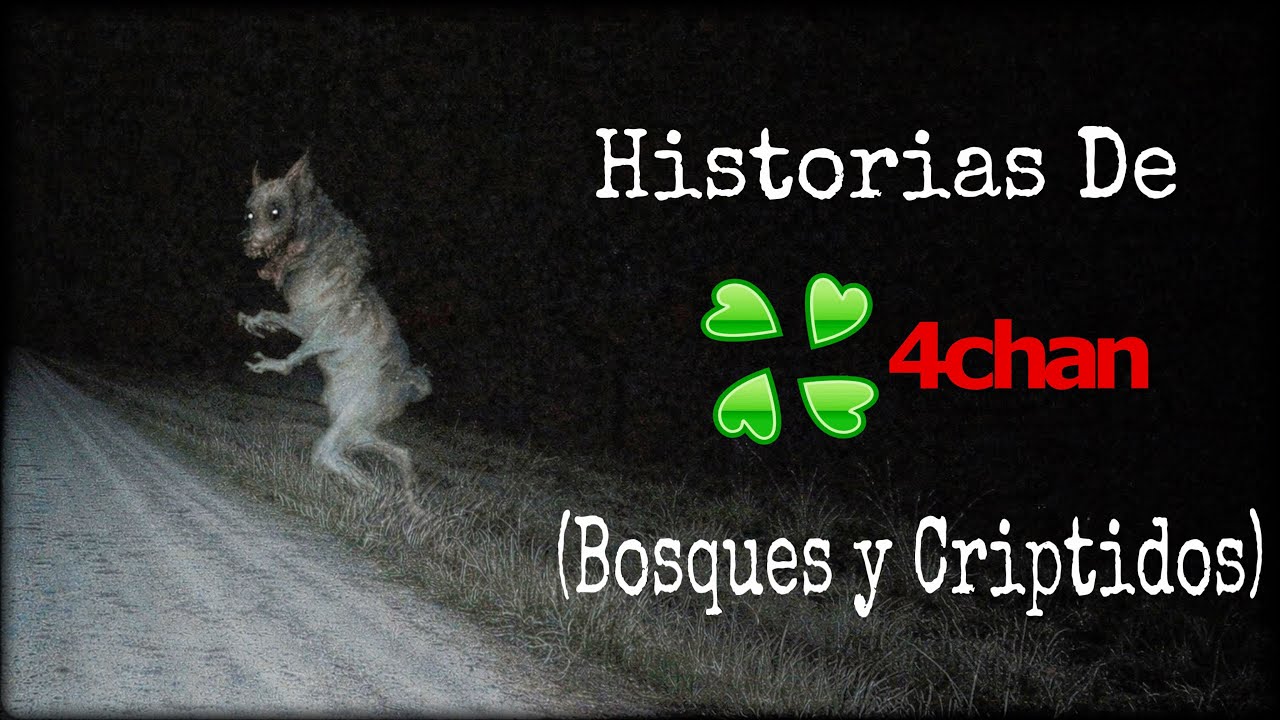 HISTORIAS DE 4CHAN /X/ BOSQUES Y CRIPTIDOS (RECOPILACIÓN)