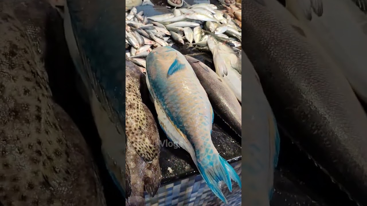 Medavakkam PSR Fish Market Vlog | மீன் குழம்பு செம😋 | Best Fish Market in Chennai | RJ Vlog |