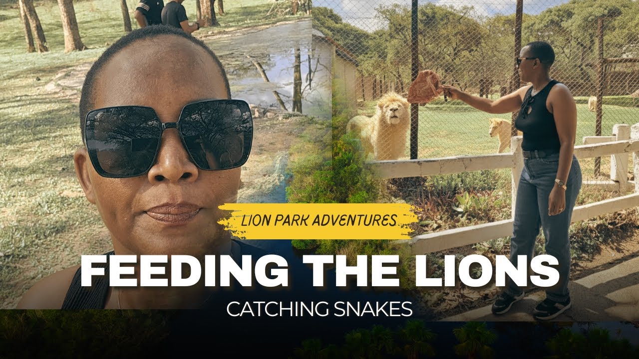 Feeding the Lions in Harare: Lion Park Weekend