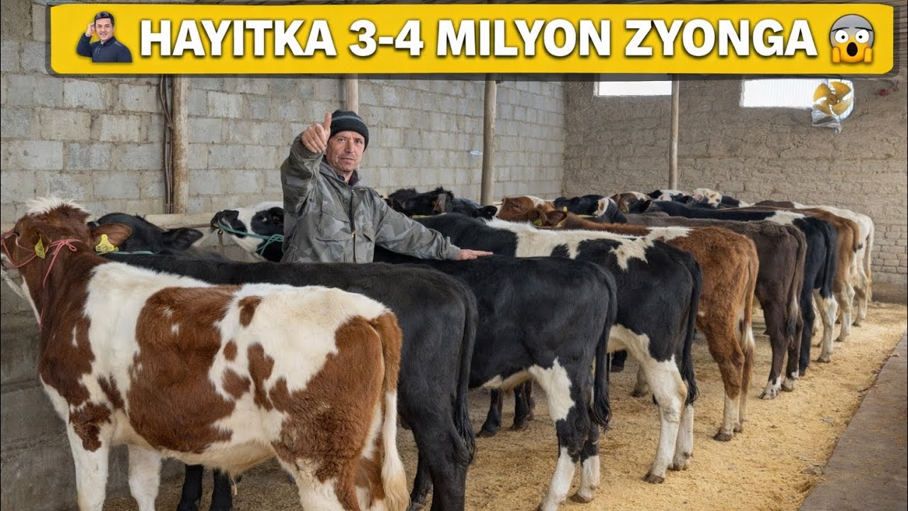 😱BUNAQASI BUMAGAN BAYRAMGA AKSIYA 💸 3.4 MILYONGACHA BONI BOLIP KETI SHOSHLIG 2026_03_mart.