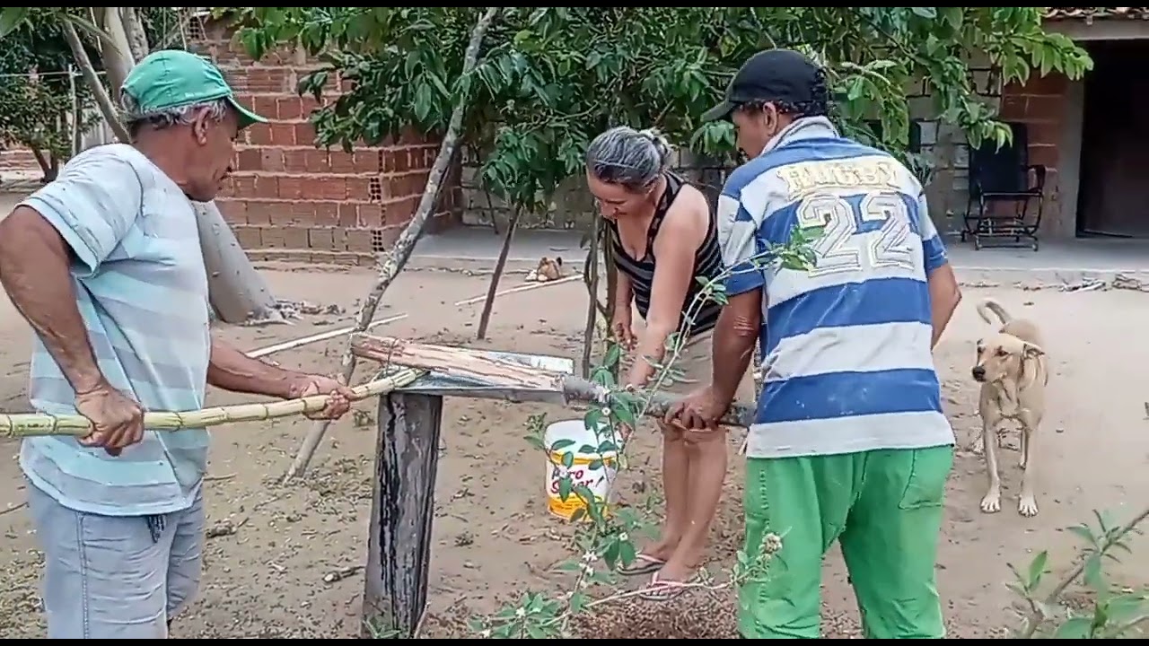 fazendo garapa de cana no Engenhoca caseira