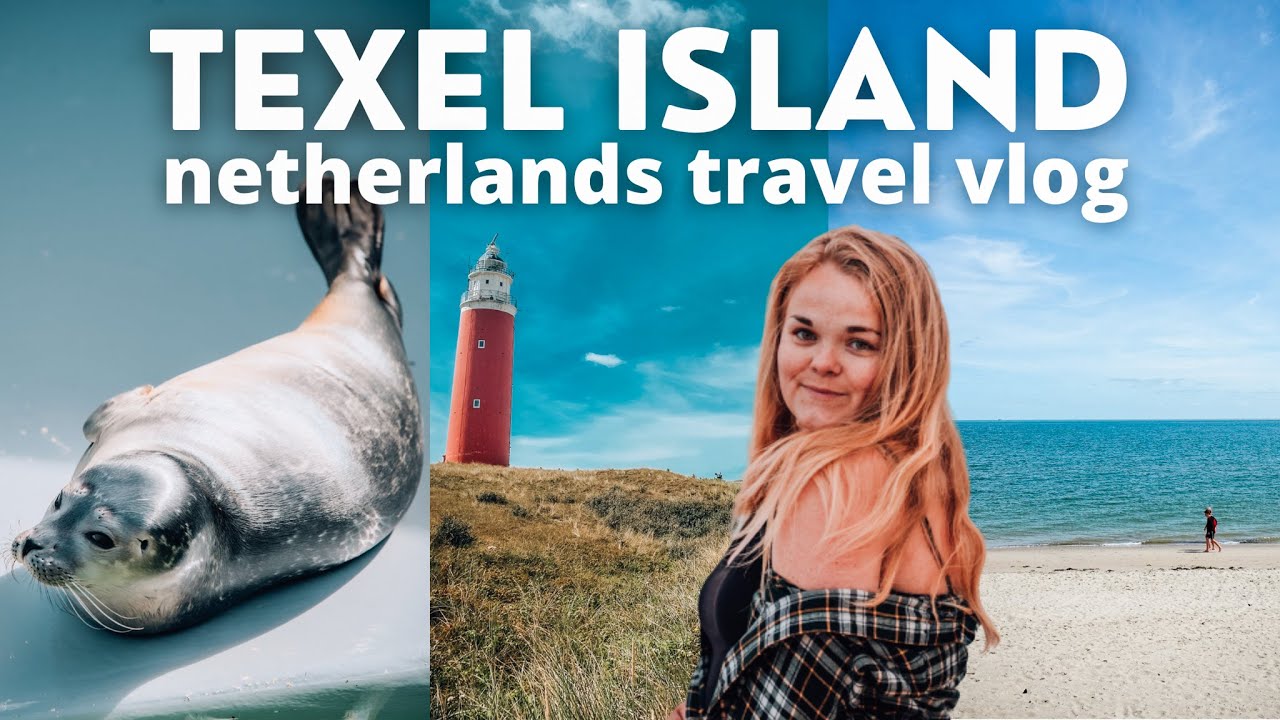 Exploring Texel island in The Netherlands 🐑