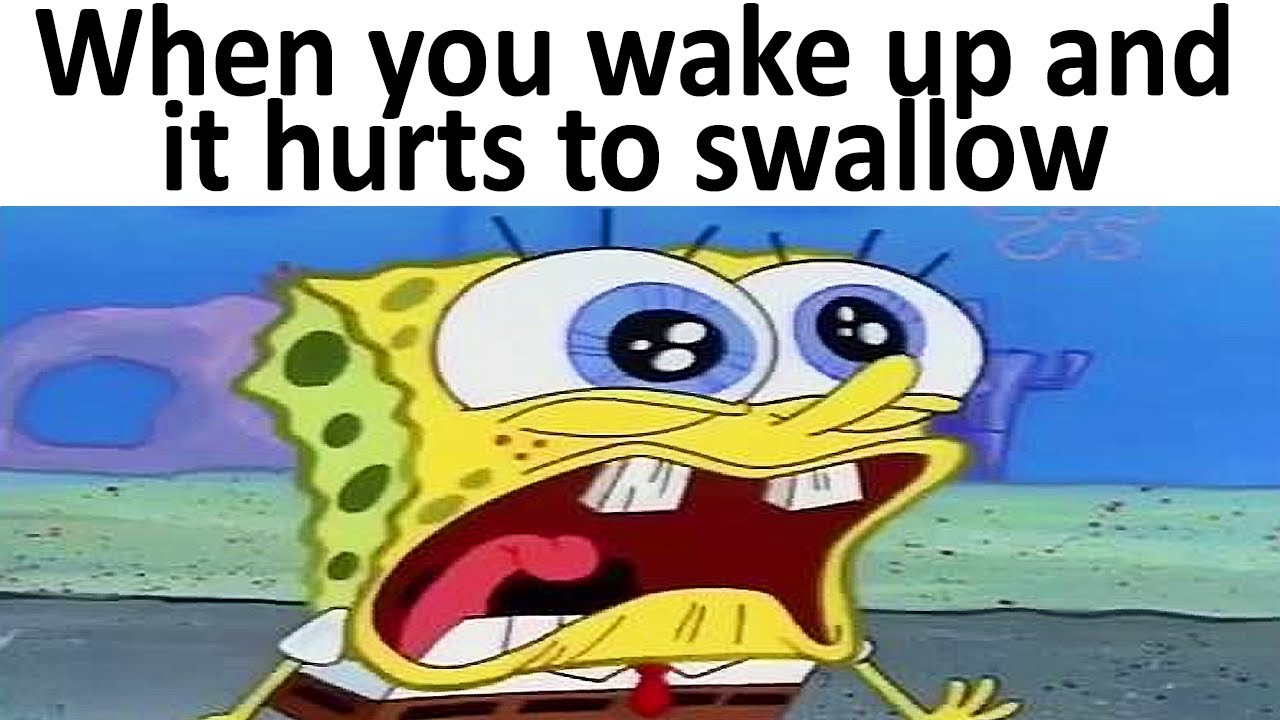 1 Hour of Memes