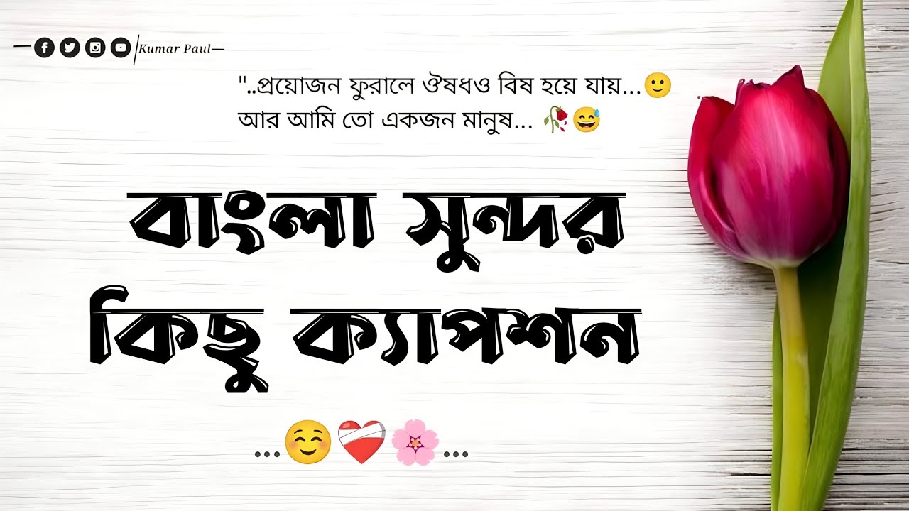 সুন্দর কিছু বাংলা‌ শর্ট ক্যাপশন ☺️❤️‍🩹|| প্রতিটি কথাই সত্য এবং সুন্দর 🌹| #caption  #kumarpaul143 