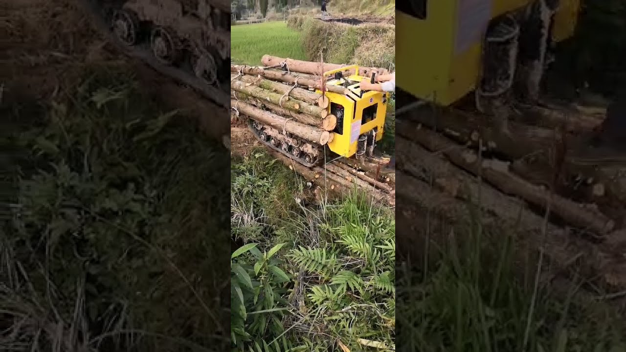 Crawler dumper truck in palm factory/crawler transport/crawler carrier