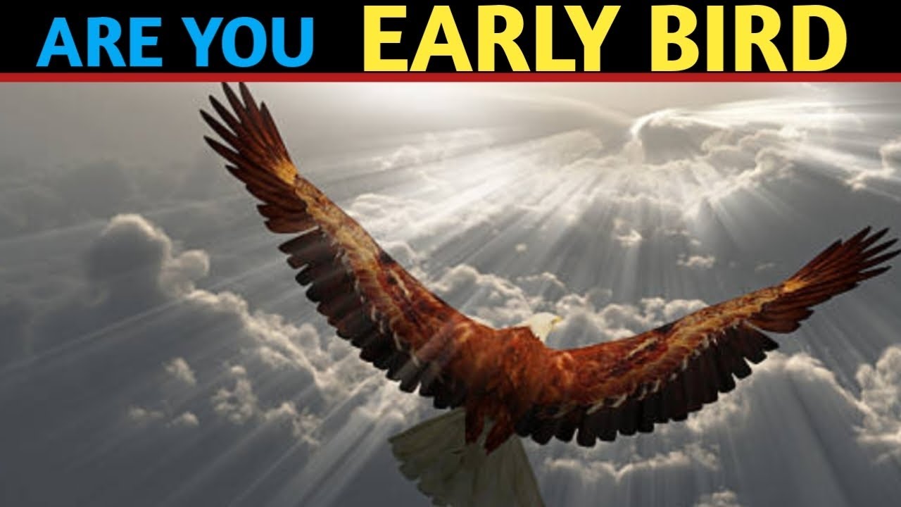 Reasons to Wake Up Early | Are You an Early Riser?
