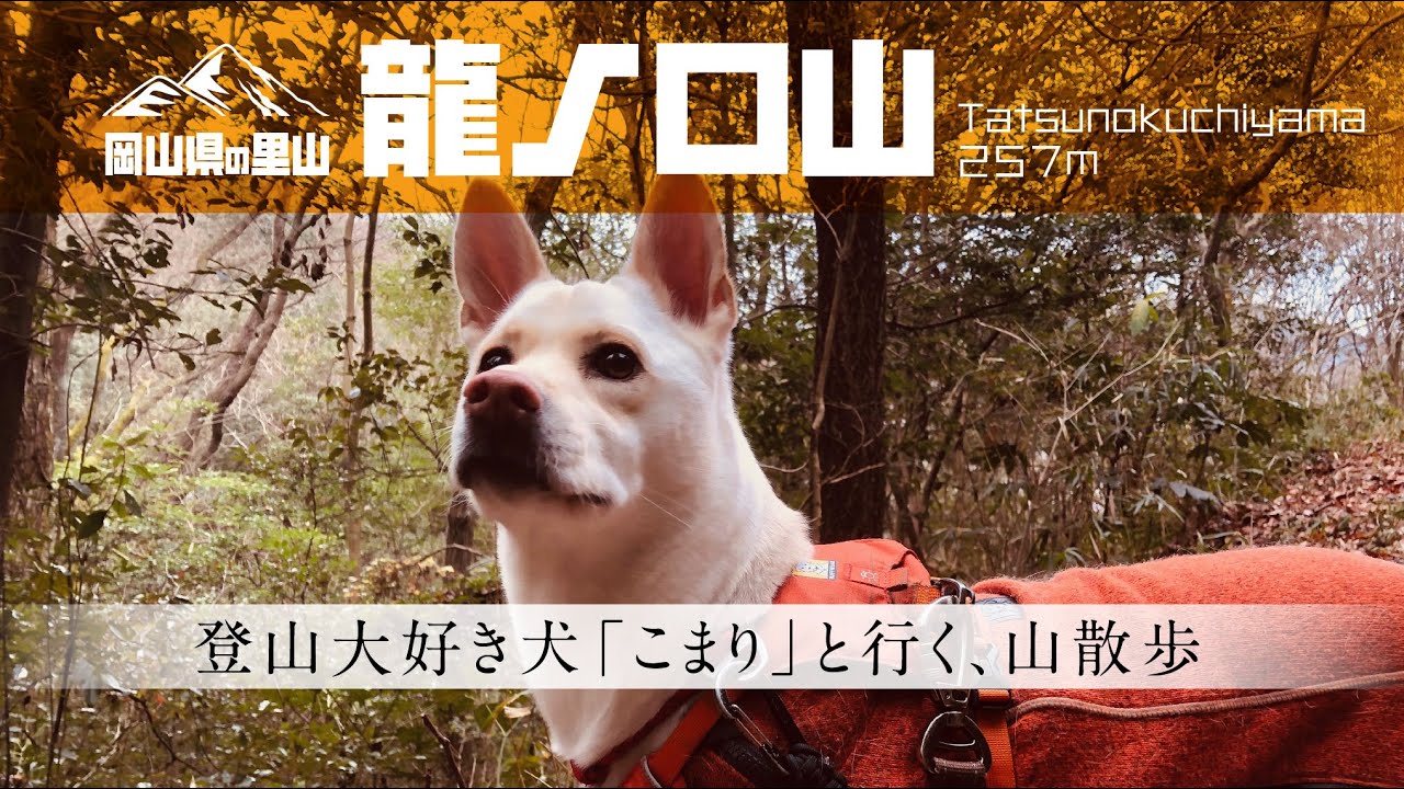 【登山】岡山の里山に登る　龍ノ口山
