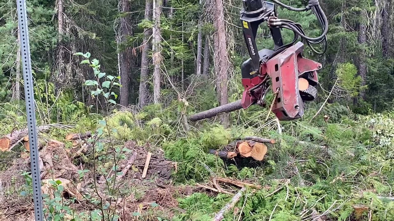 Tracked Harvester Helps Create a Fuel Break