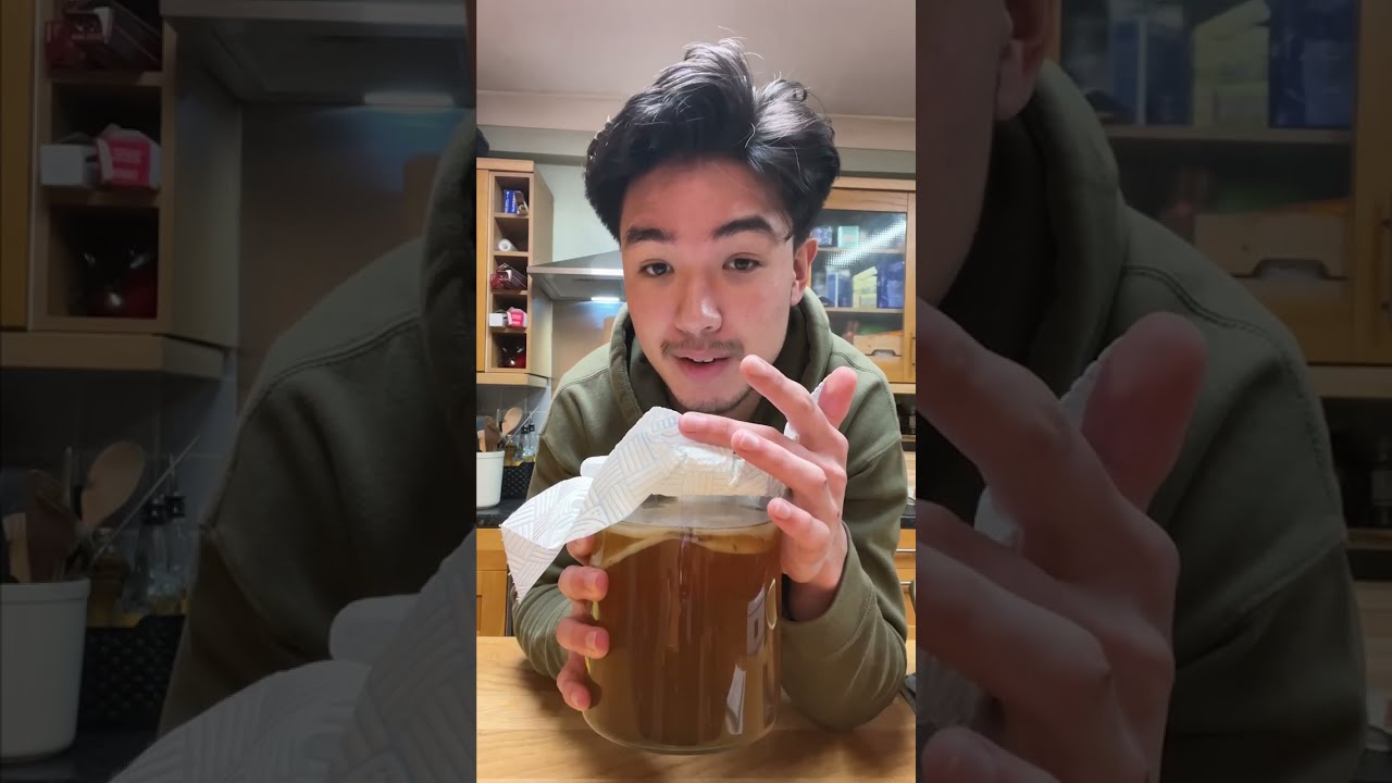 How to easily start making Kombucha