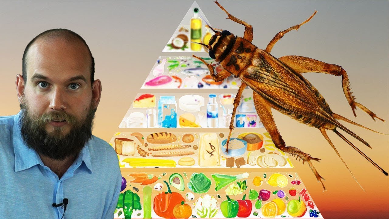 Ha Davvero senso Mangiare gli Insetti?