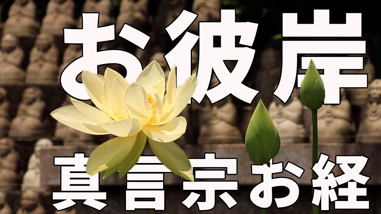 お彼岸のお経　真言宗　ご先祖様も安心！