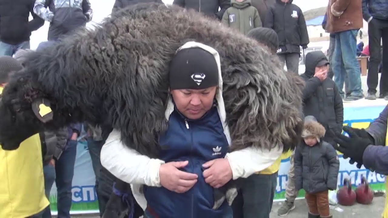 5.  ОТПАН ТАУ 14.03.2019 АКПАН БАТЫР