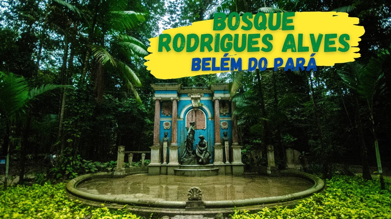 Bosque Rodrigues Alves - Caminhando em Belém do Pará - Cidade da COP 30 2025