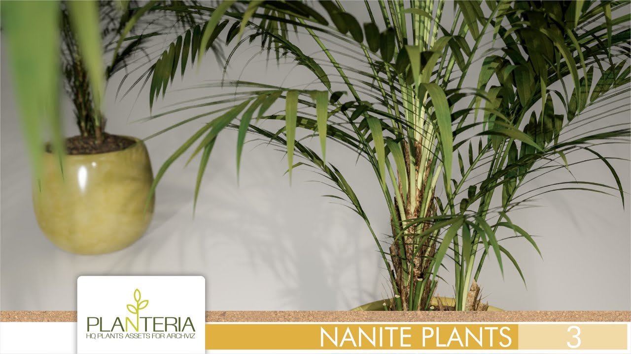 UE5 Nanite Plants Vol. 3