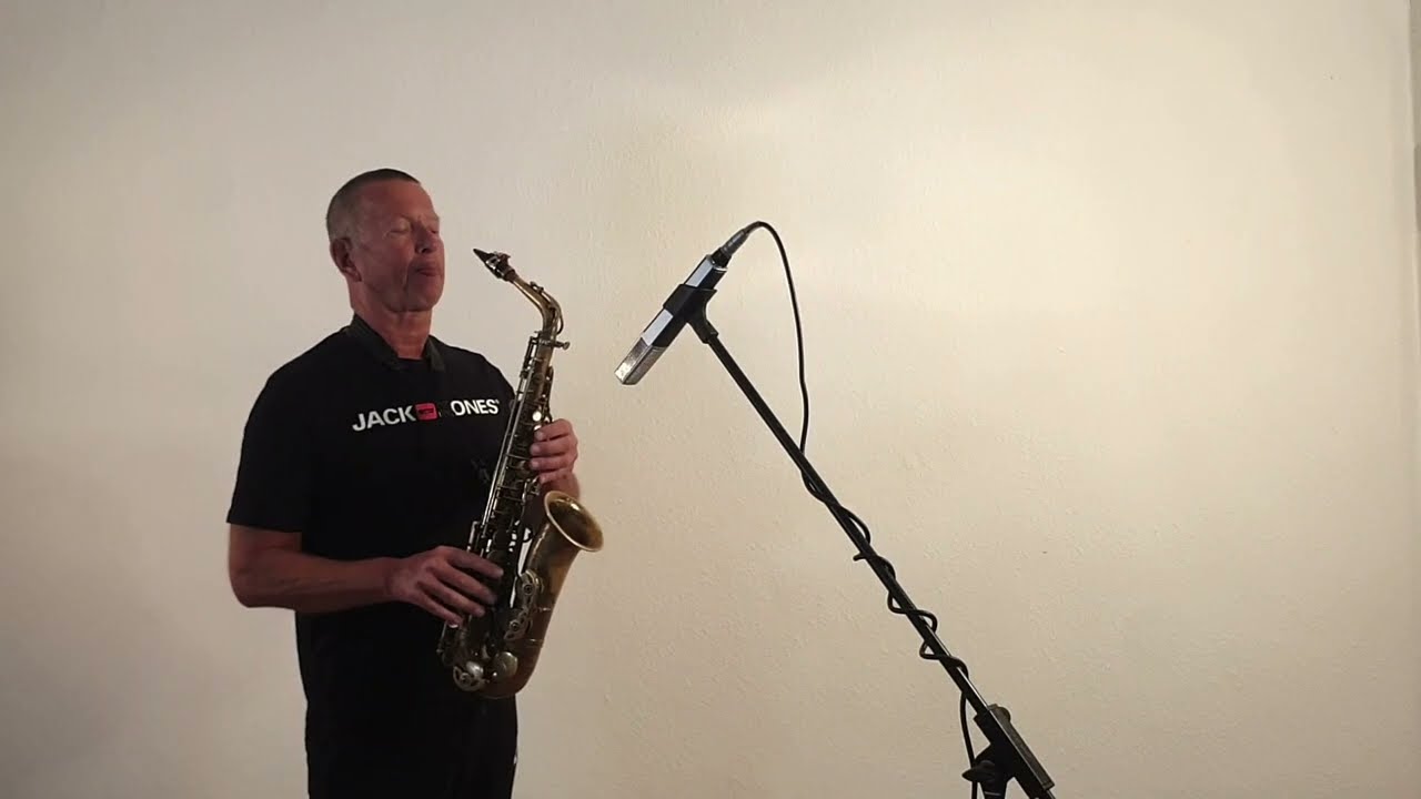 STAND BY ME - BEN E. KING  (alto sax rmx by 