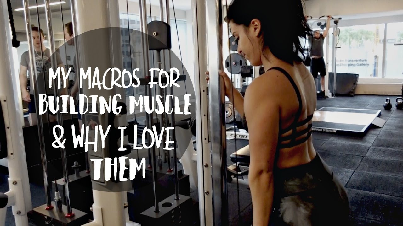 My Macros/Calories for Building Muscle & Why They Work For Me