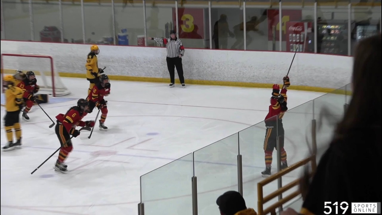OUA Hockey Playoffs (Game 3) - Waterloo Warriors vs Guelph Gryphons