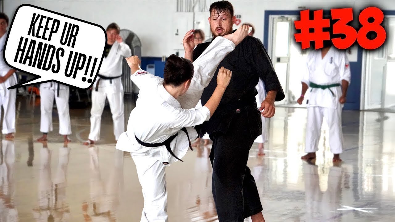 What I Learned from 50 Martial Arts
