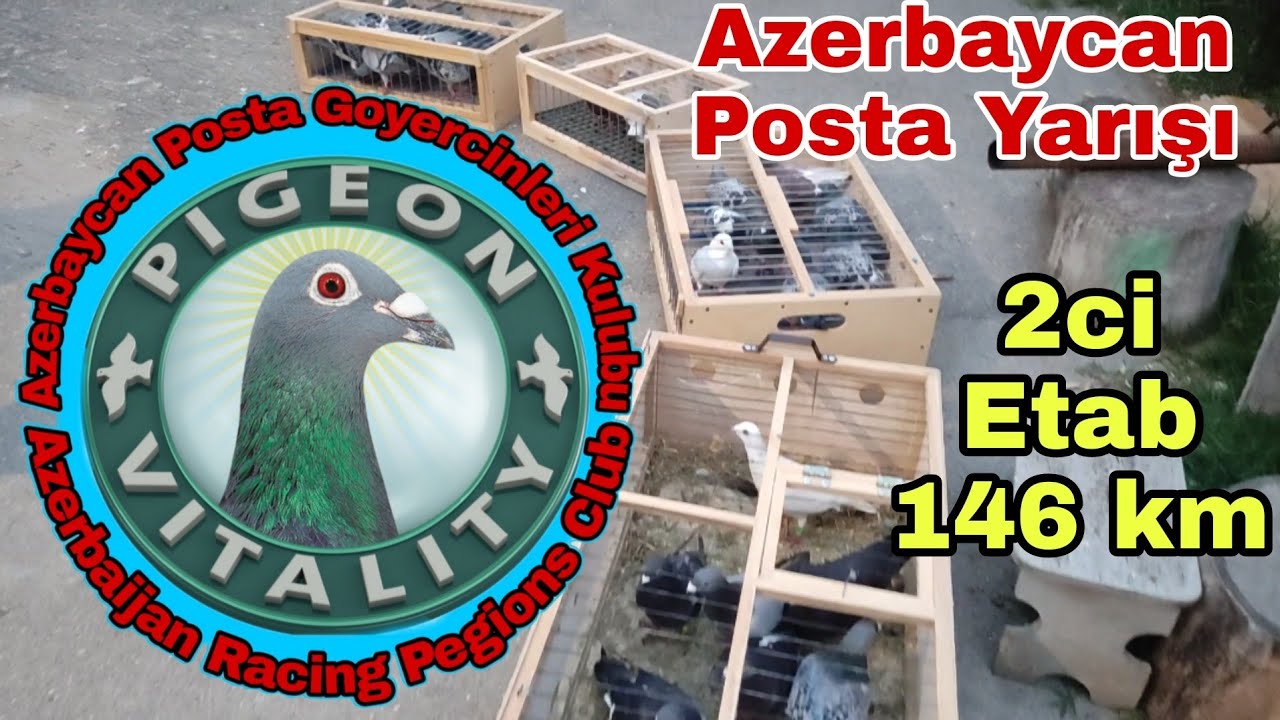 Azerbaycan Posta Yarışı 2ci Etab 146 km. Mugan Kend 28.05.2022