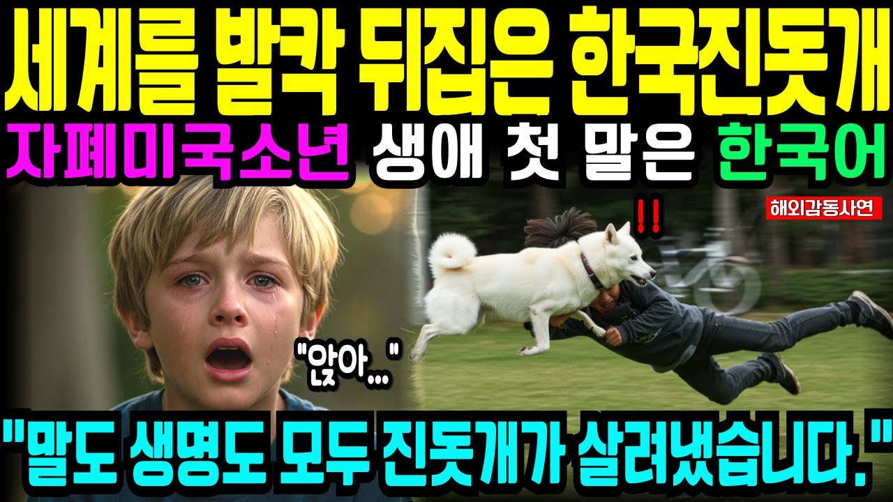 [해외감동사연]세계를 발칵 뒤집은 한국진돗개 말도 생명도 진돗개가 모두 살려냈습니다.