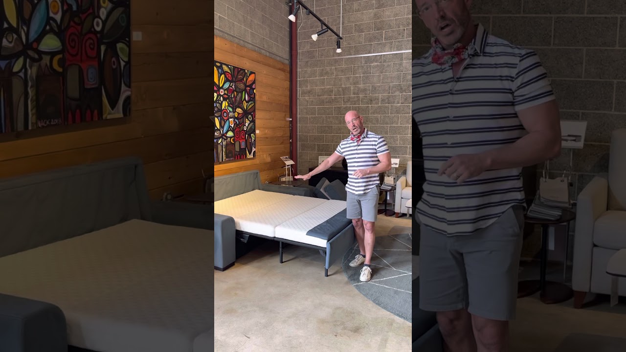 American Leather sleeper