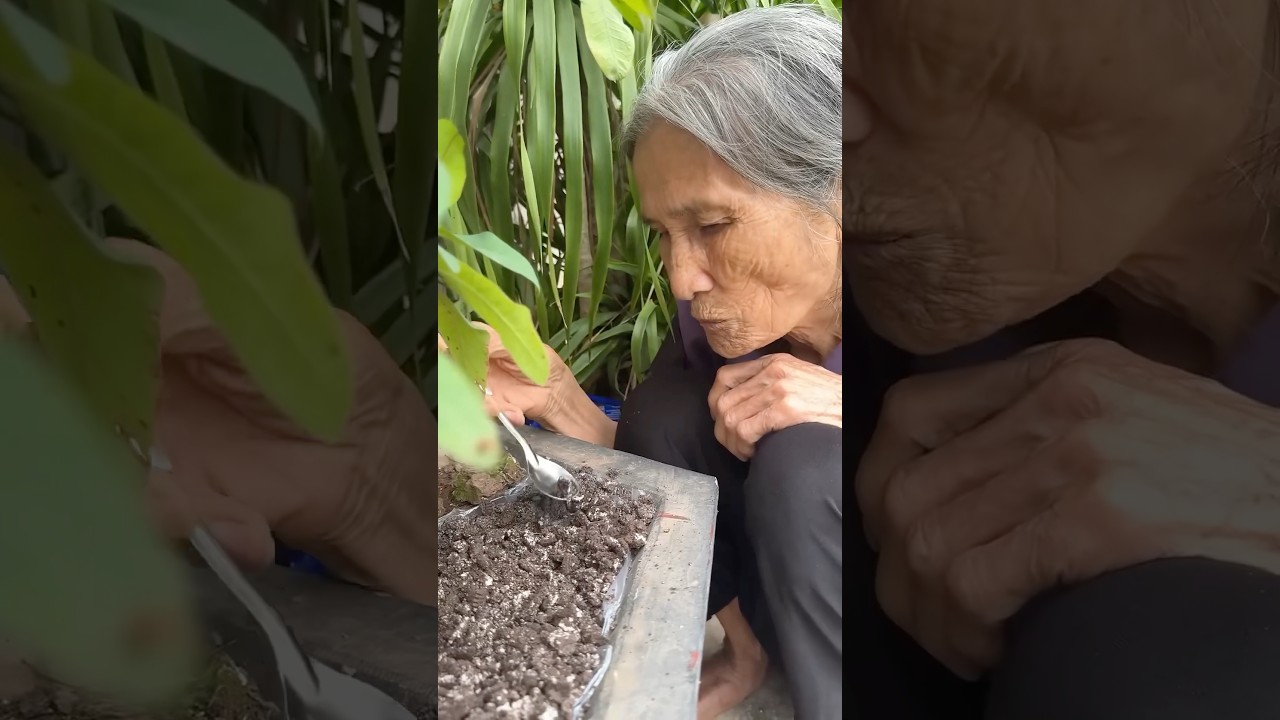 B&agrave; Gi&agrave; Ăn Đất 😳 V&agrave; C&aacute;i Kết Kh&ocirc;ng Ai Ngờ Tới!  #funny #campping #food