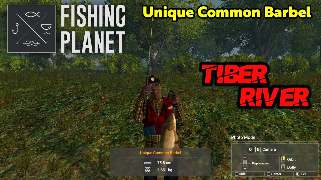 Unique Common Barbel Tiber River - Fishing Planet