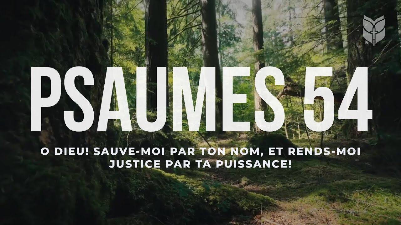Psaumes 54. O Dieu! sauve-moi par ton nom, Et rends-moi justice par ta puissance! #biblevision
