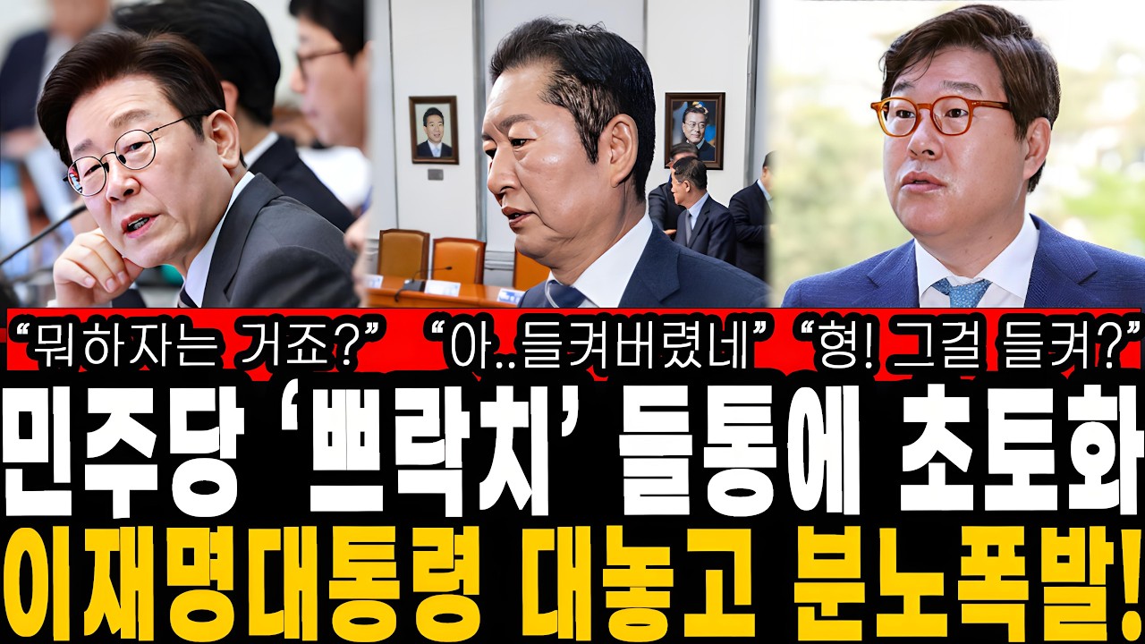 민주당 