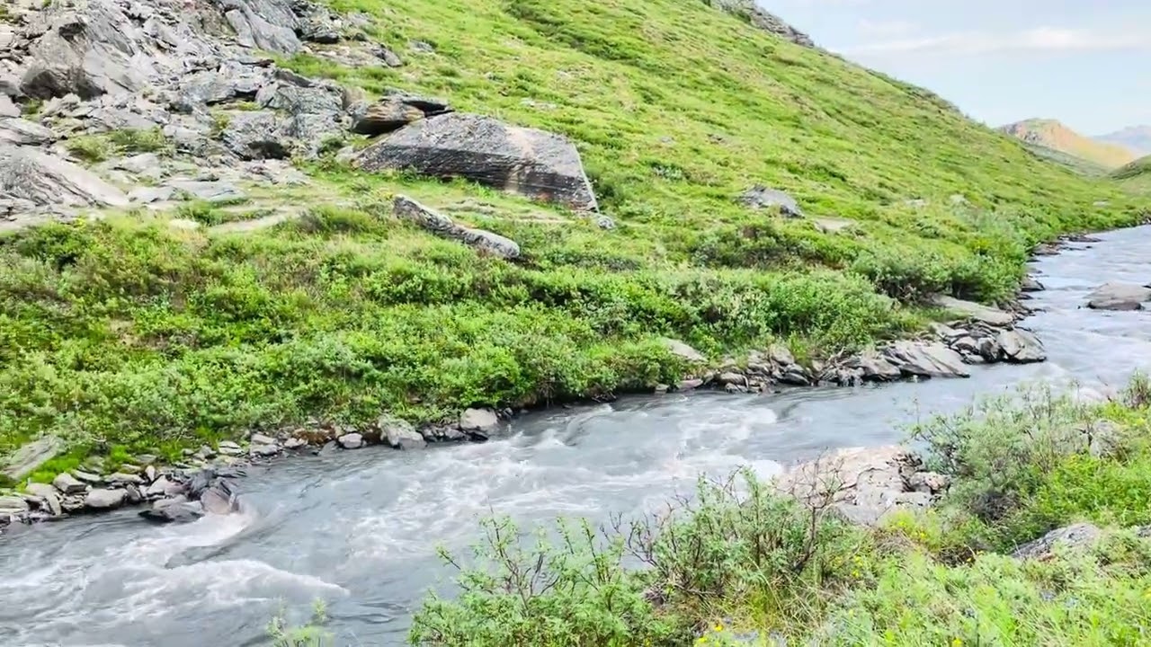 Denali National Park and Preserve ( Savage River Loop Trail 1.7 miles ) part 1