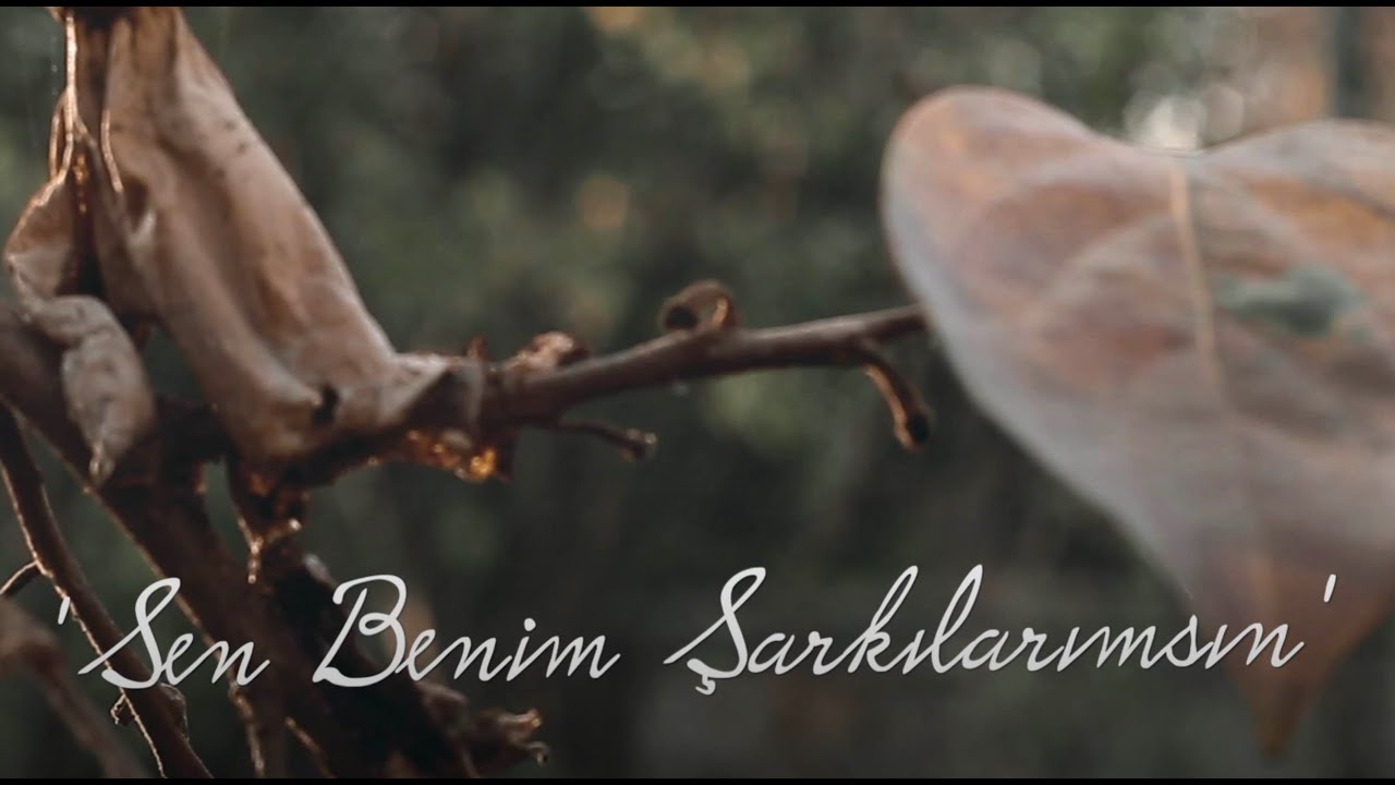 'Sen Benim Şarkılarımsın' - Cello Cover - Cellosonics #senbenimşarkılarımsın