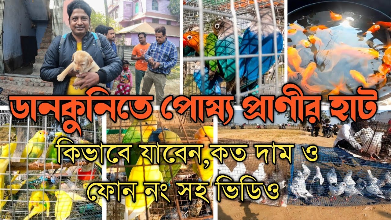 Pardankuni pet market। pardankuni poshu pakhir haat।pet market।