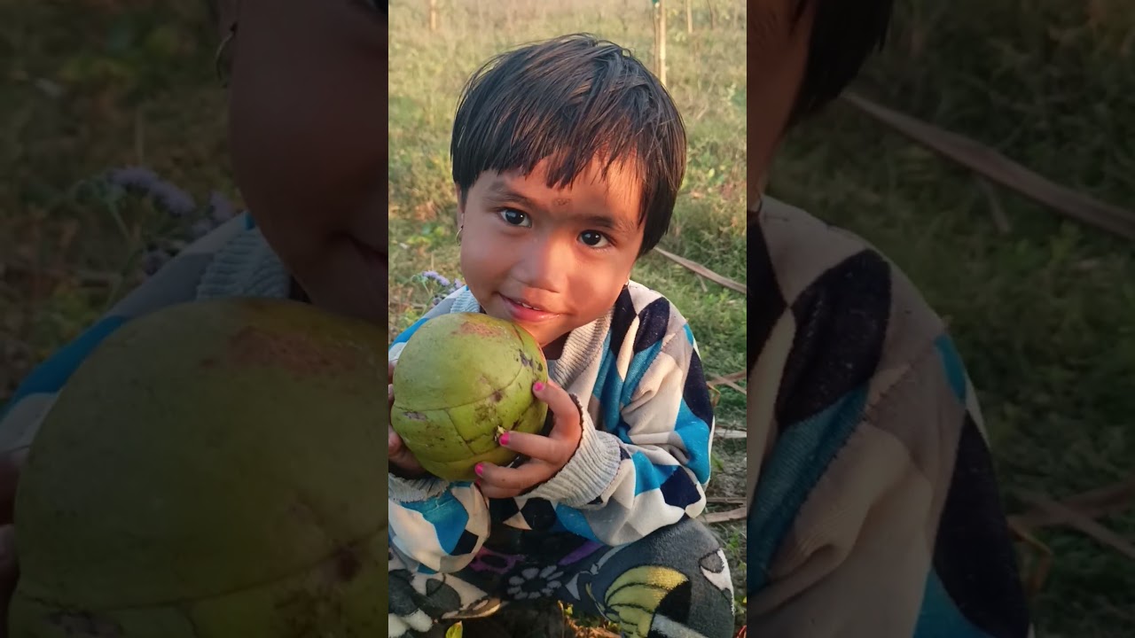 olp kotah patilu bogori bari malikini logot