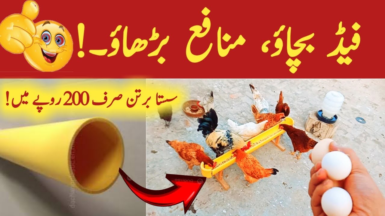 Cheapest Hen Feeder in Only Rs.200 | Zero Feed Wastage | Jutt Sab Kay Parinday!