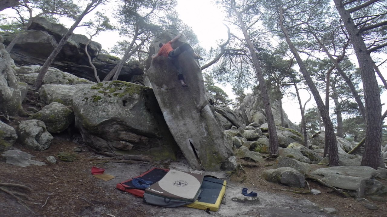 Tour de Babel 7B+