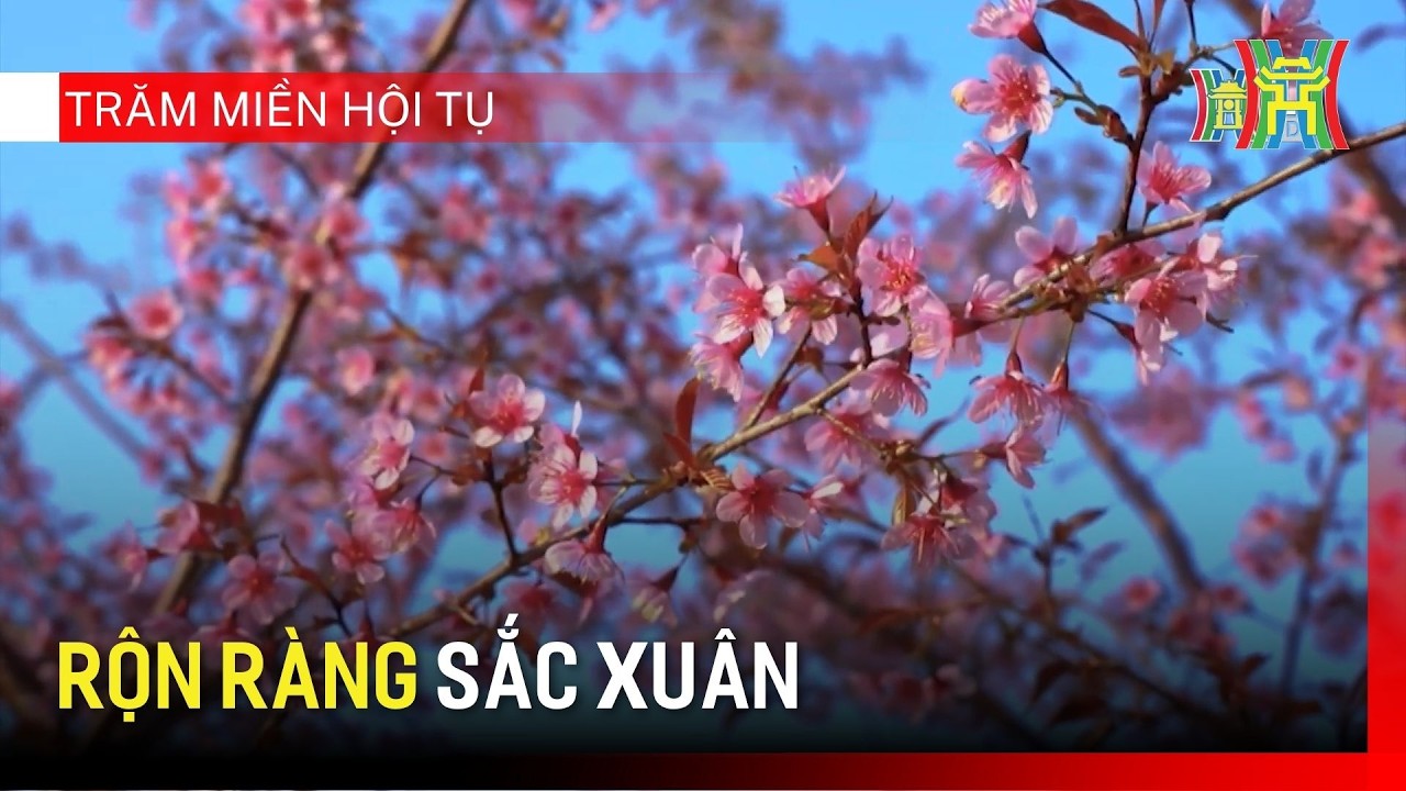 Rộn ràng sắc xuân | Trăm miền hội tụ