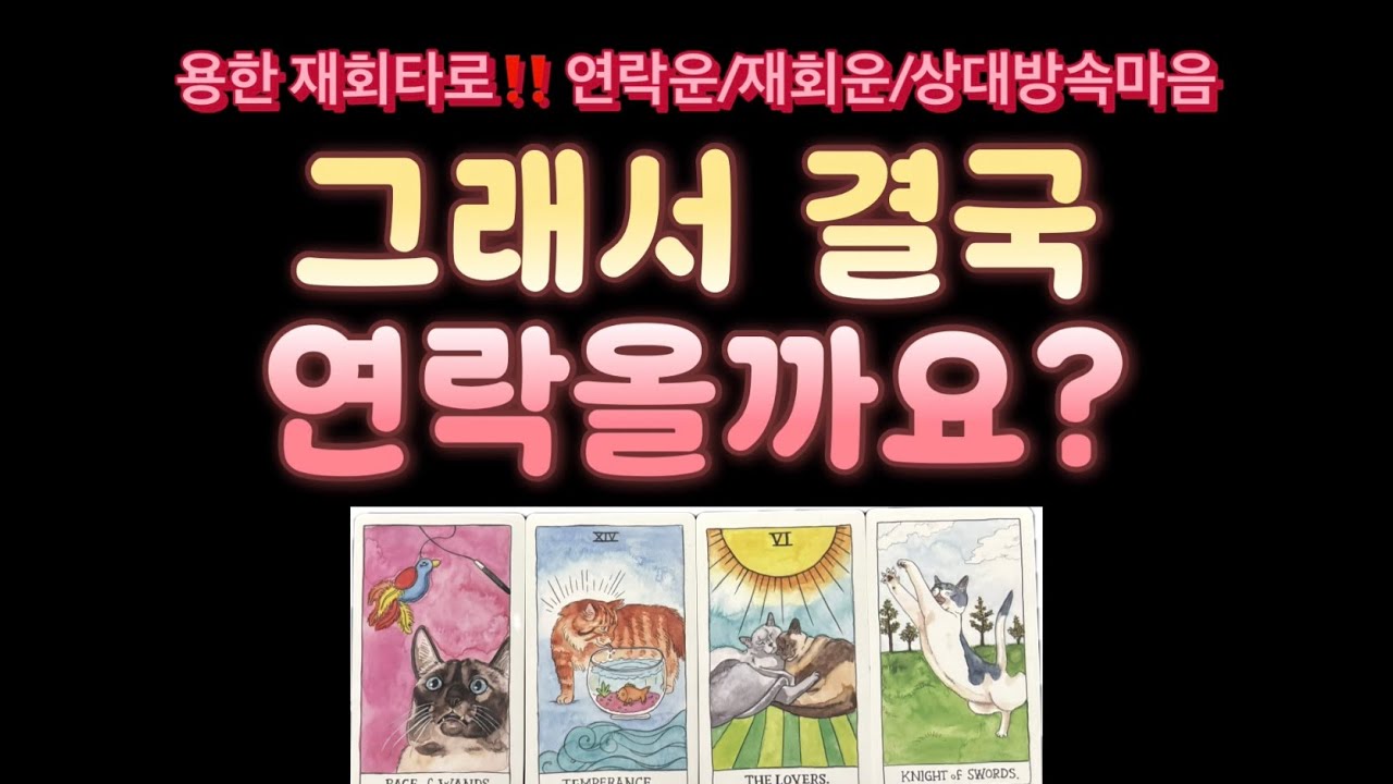 [재회타로] 🚨용함주의🚨 그래서 결국 연락올까요? 헤어진 사람과의 연락운이 궁금하다면🔥🔥