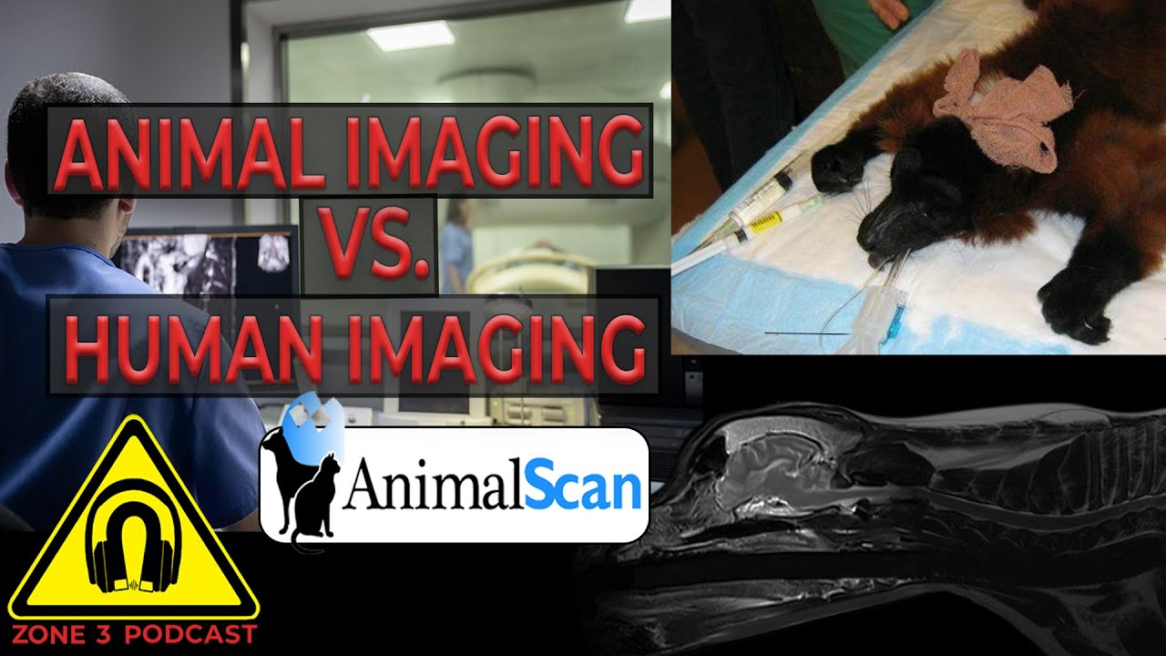 Z3P Clips: Animal Imaging vs  Human imaging