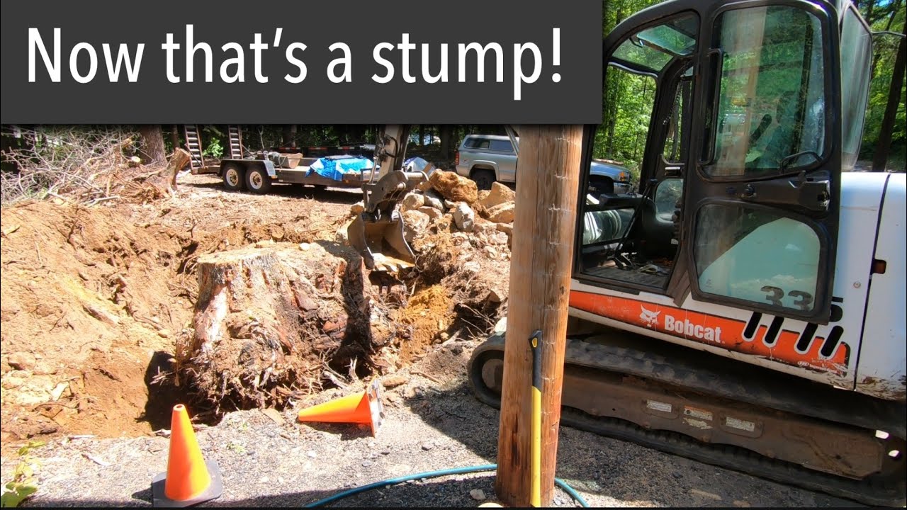 Digging out a giant stump with a bobcat 335