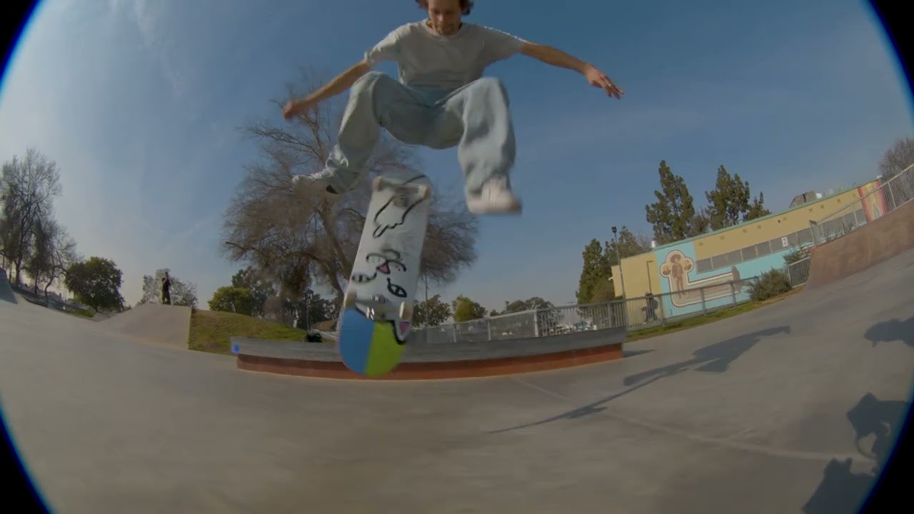 RIPNDIP COMPLETE SKATEBOARDS