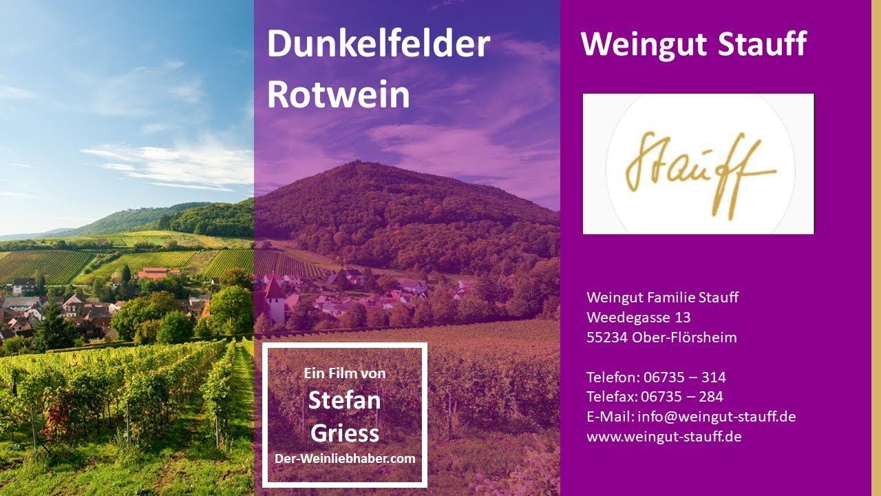 Dunkelfelder Rotwein vom Weingut Familie Stauff - Ober-Flörsheim
