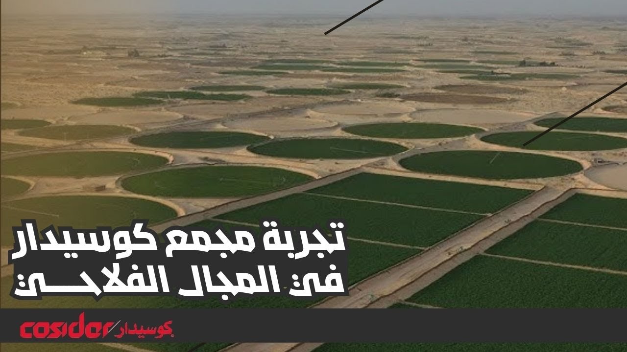 شاهدوا التجربة الناجحة لمجمع كوسيدار في المجال الفلاحي بالمنطقة الجنوبية