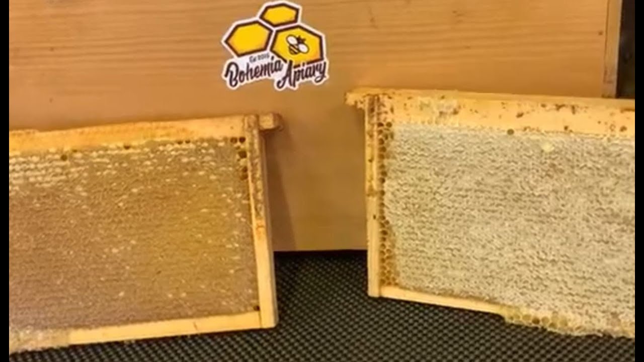Wet vs Dry honey cappings | Beekeeping